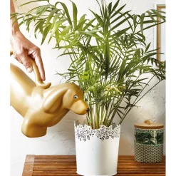 Accessoires Et Outils Jardin|Tempsl Arrosoir chat ou chien