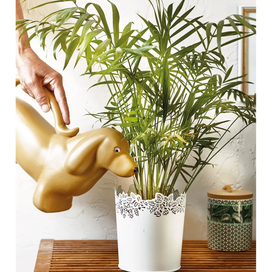 Accessoires Et Outils Jardin|Tempsl Arrosoir chat ou chien
