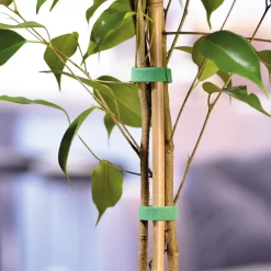 Accessoires Et Outils Jardin|Tempsl Bande auto agrippante 3 ou 5 mètres
