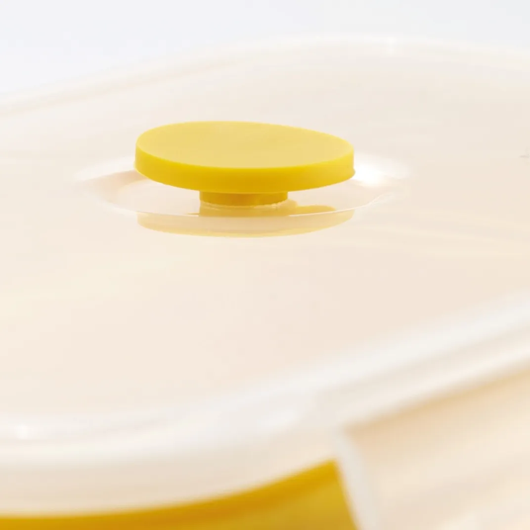 Fraîcheur / Conservation|Tempsl 4 boites pliables vitamines