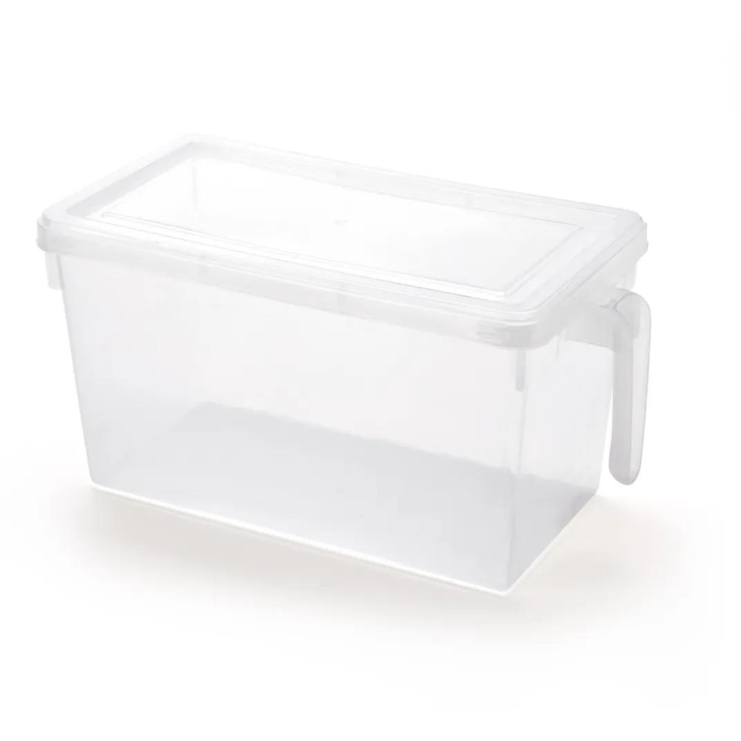 Fraîcheur / Conservation|Organisation Et Entretien|Tempsl Boîte de rangement réfrigérateur ou lot de 2