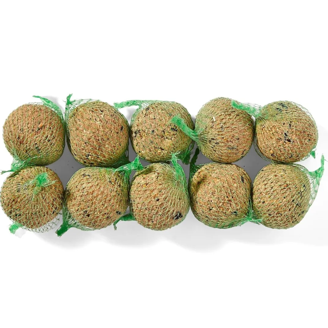 Accessoires Animaux|Tempsl 10 boules de graines