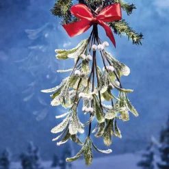 Décorations Intérieures Noël|Décorations Extérieures Noël|Tempsl Branche de gui