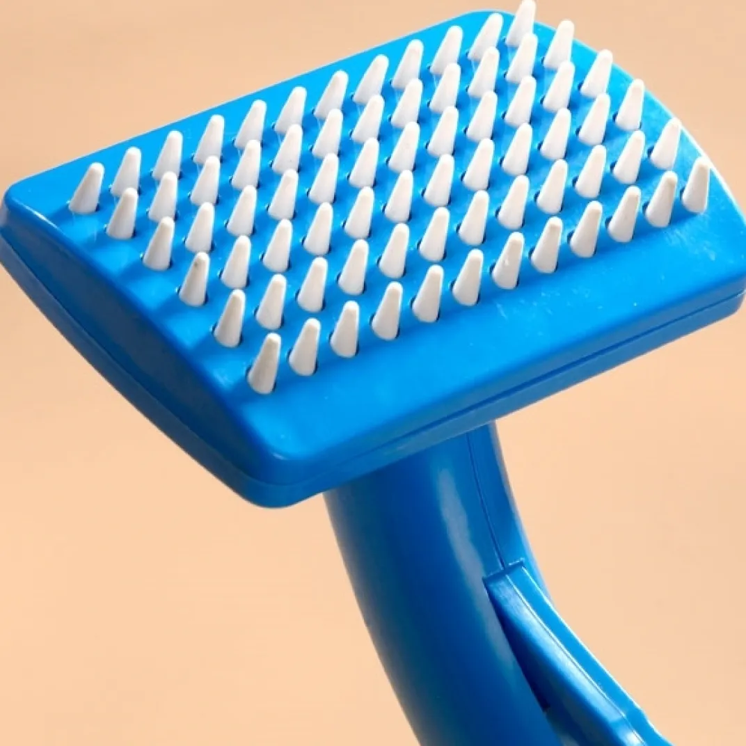 Accessoires Animaux|Tempsl Brosse douche animaux