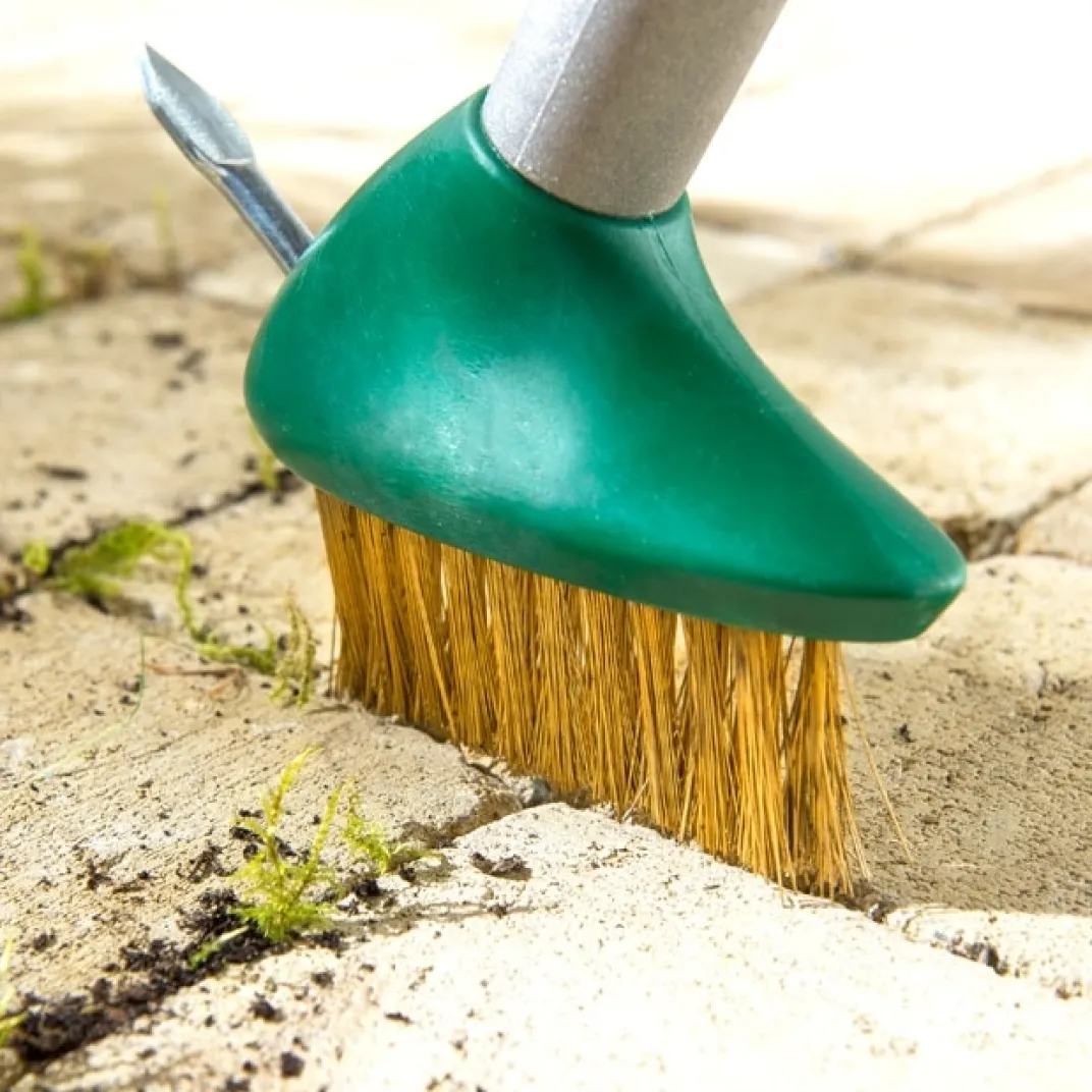 Accessoires Et Outils Jardin|Tempsl Brosse à désherber pour terrasse