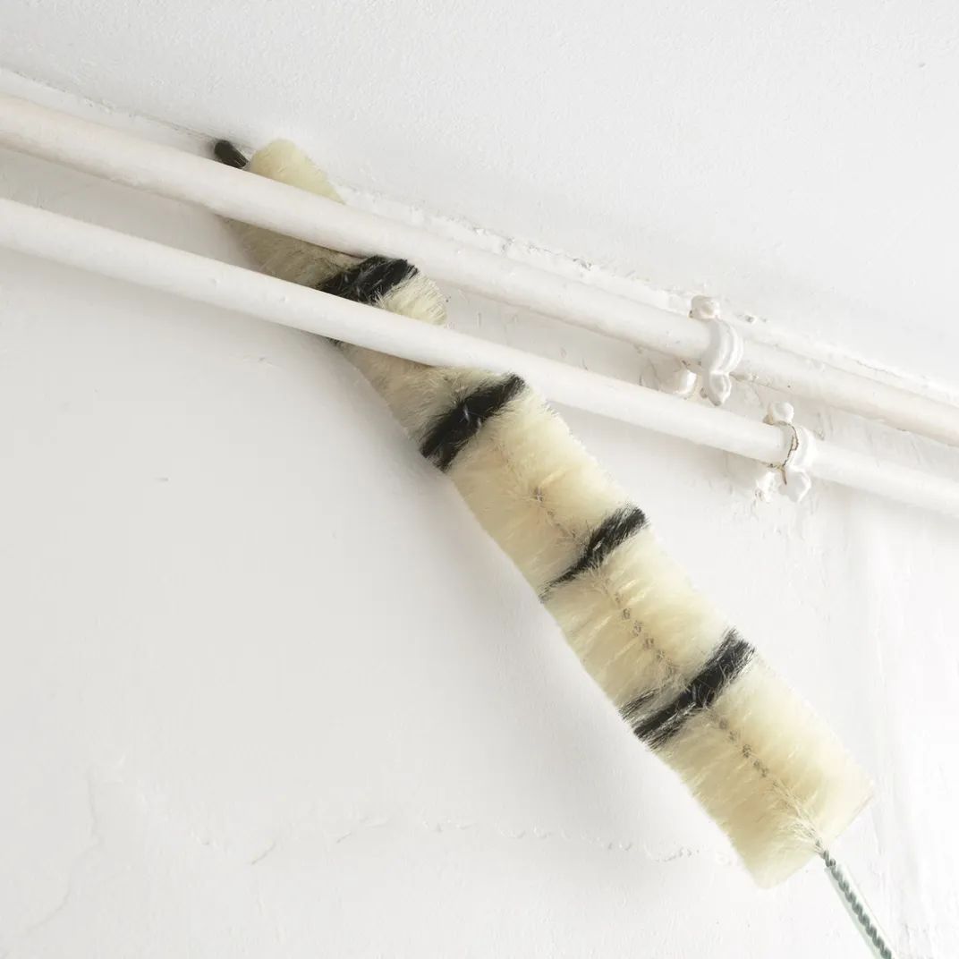 Balais, Aspirateurs, Éponges Et Brosses|Tempsl Brosse radiateur 110 cm