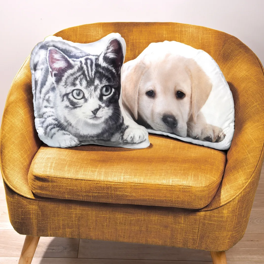 Décorations|Tempsl Coussin labrador