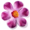 Décorations|Tempsl Coussin réhausseur de chaise fleur violet