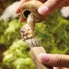 Découpe|Art De La Table|Tempsl Couteau champignon