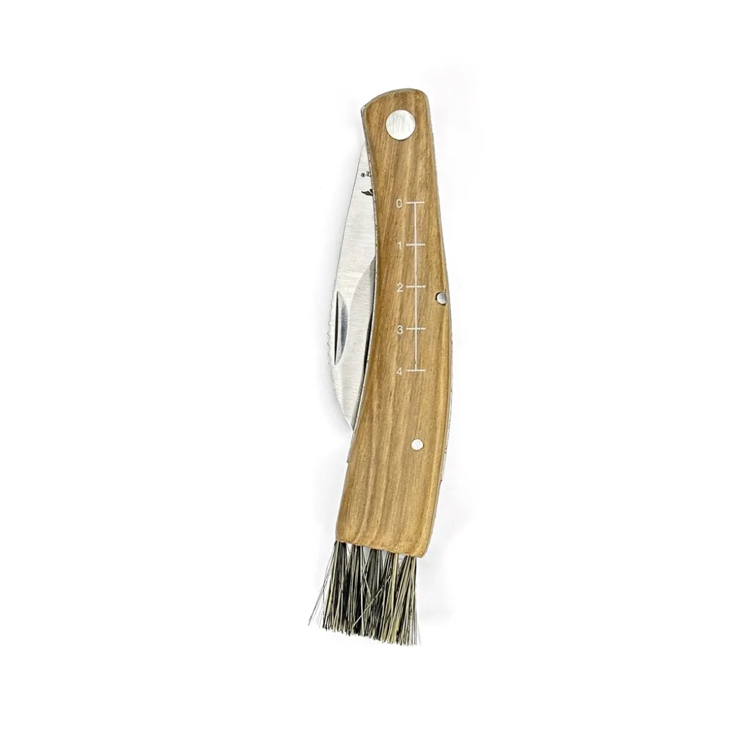 Découpe|Art De La Table|Tempsl Couteau champignon