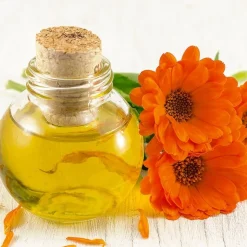 Salle De Bain Et Hygiène|Produits De Beauté|Tempsl Crème à la fleur de soucis