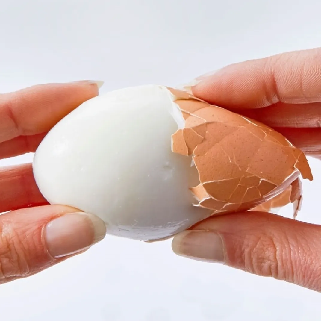 Ustensiles De Cuisine Malins|Tempsl Ecale œuf magic rouge