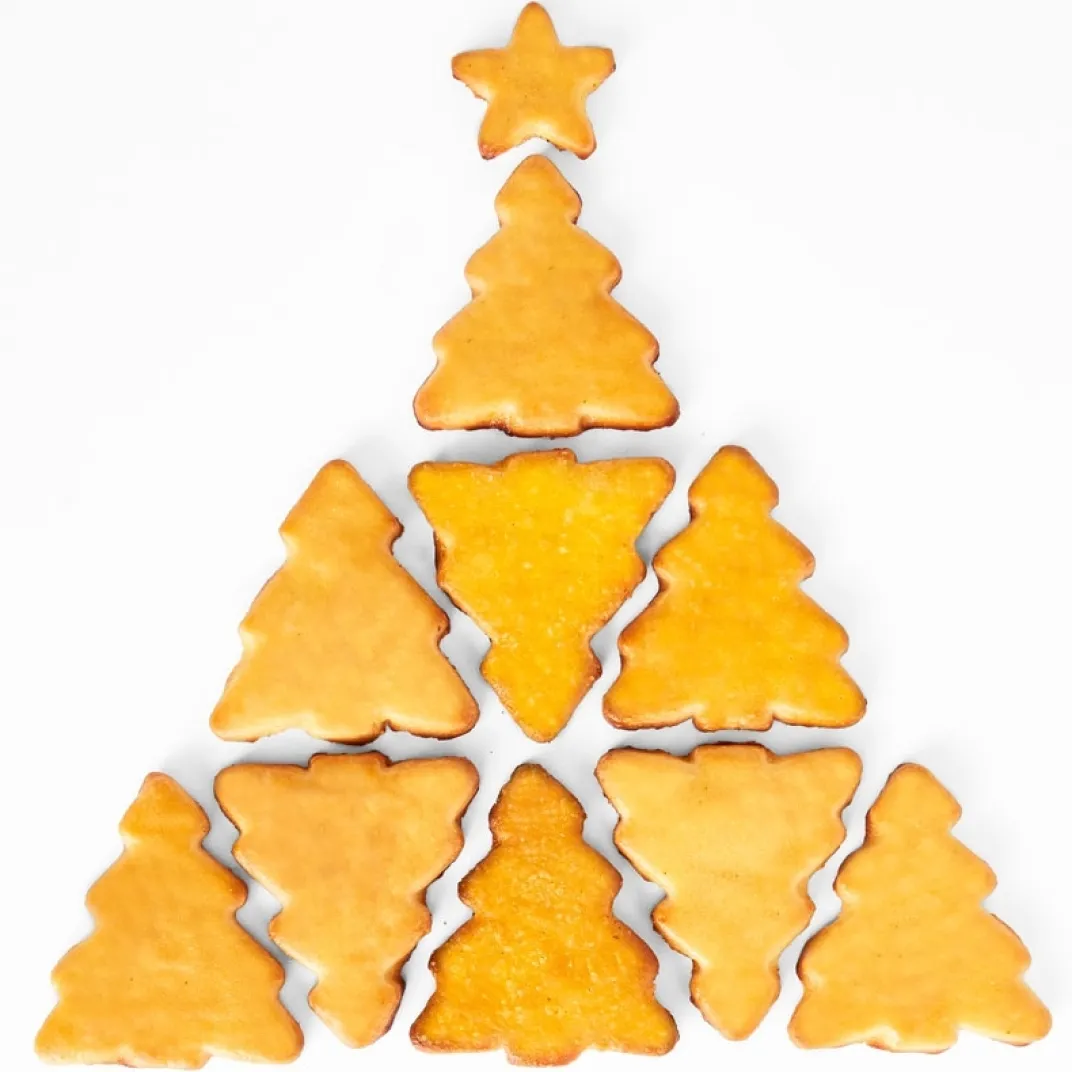Repas De Noël|Accessoires Pâtisserie Et Confiture|Tempsl Emporte-pièce sapins 9 biscuits
