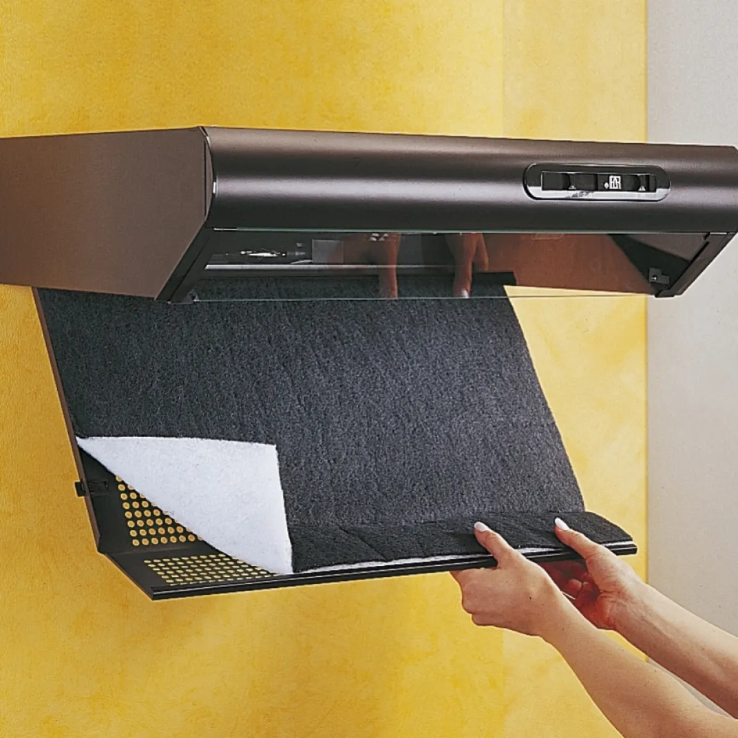 Organisation Et Entretien|Tempsl Filtre hotte double action ou lot de 2