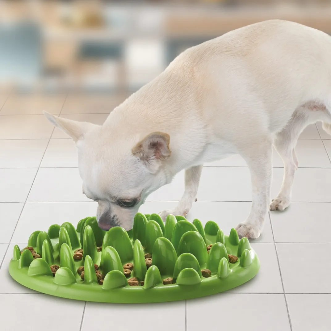 Accessoires Animaux|Tempsl Gamelle anti-gloutonnerie Chien ou chat