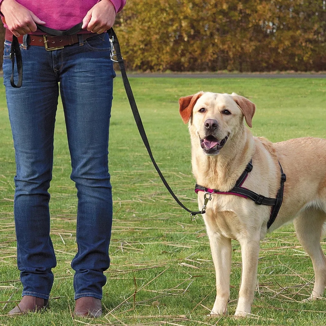 Accessoires Animaux|Tempsl Harnais anti-traction - 3 tailles
