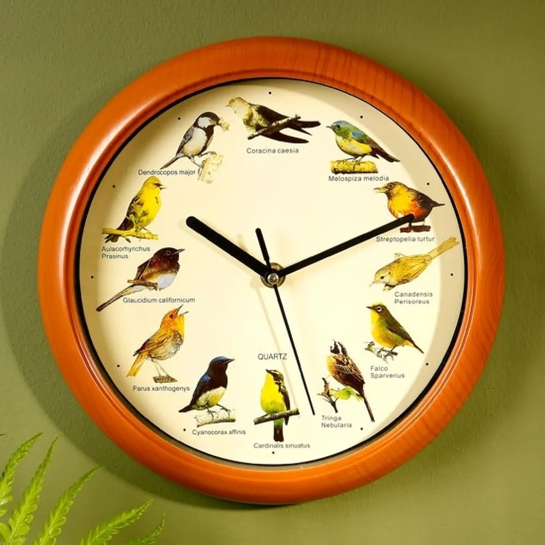 Décorations|Tempsl Horloge musicale oiseaux