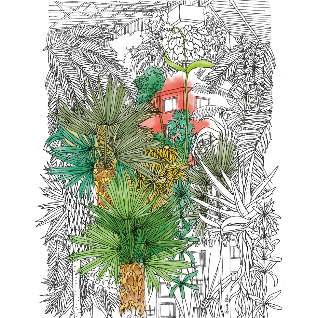 Loisirs Créatifs|Tempsl 20 illustrations à colorier - Villes sauvages