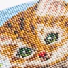 Idées Cadeaux Noël|Loisirs Créatifs|Tempsl Kit broderie diamant pré-encadré "Chaton dans l'arbre"