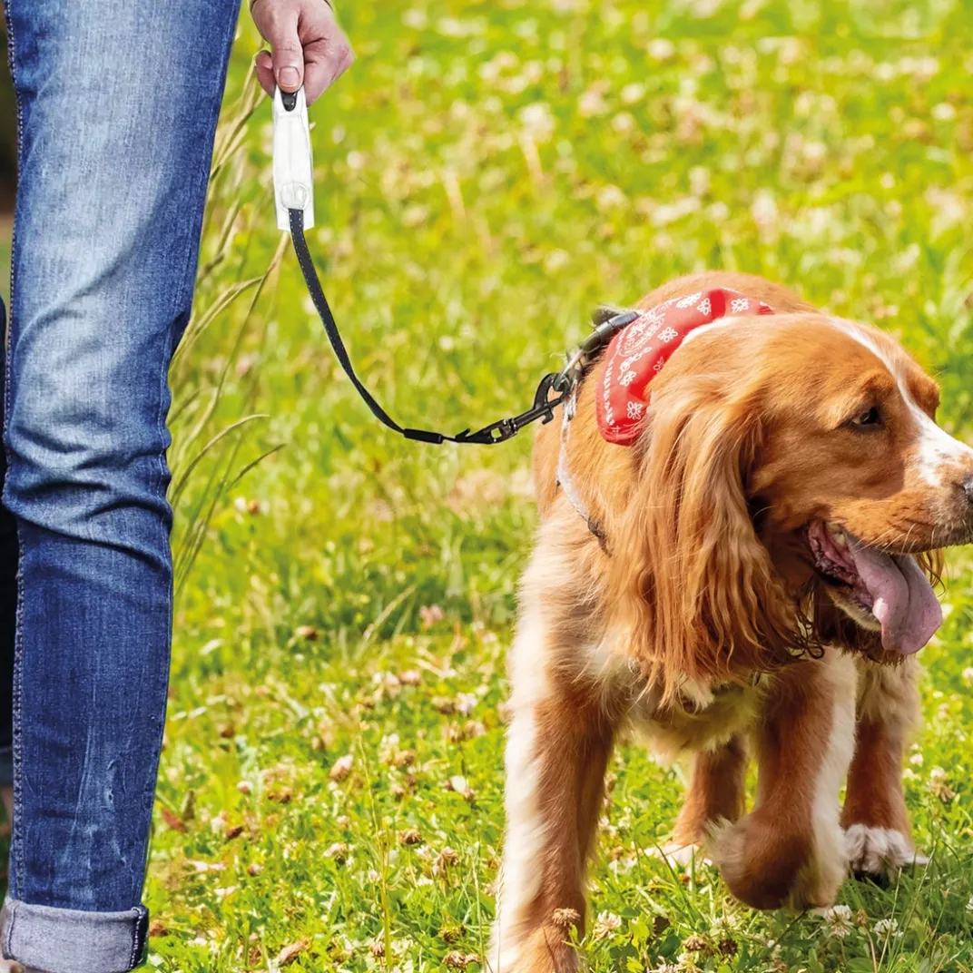 Accessoires Animaux|Tempsl Laisse avec enrouleur