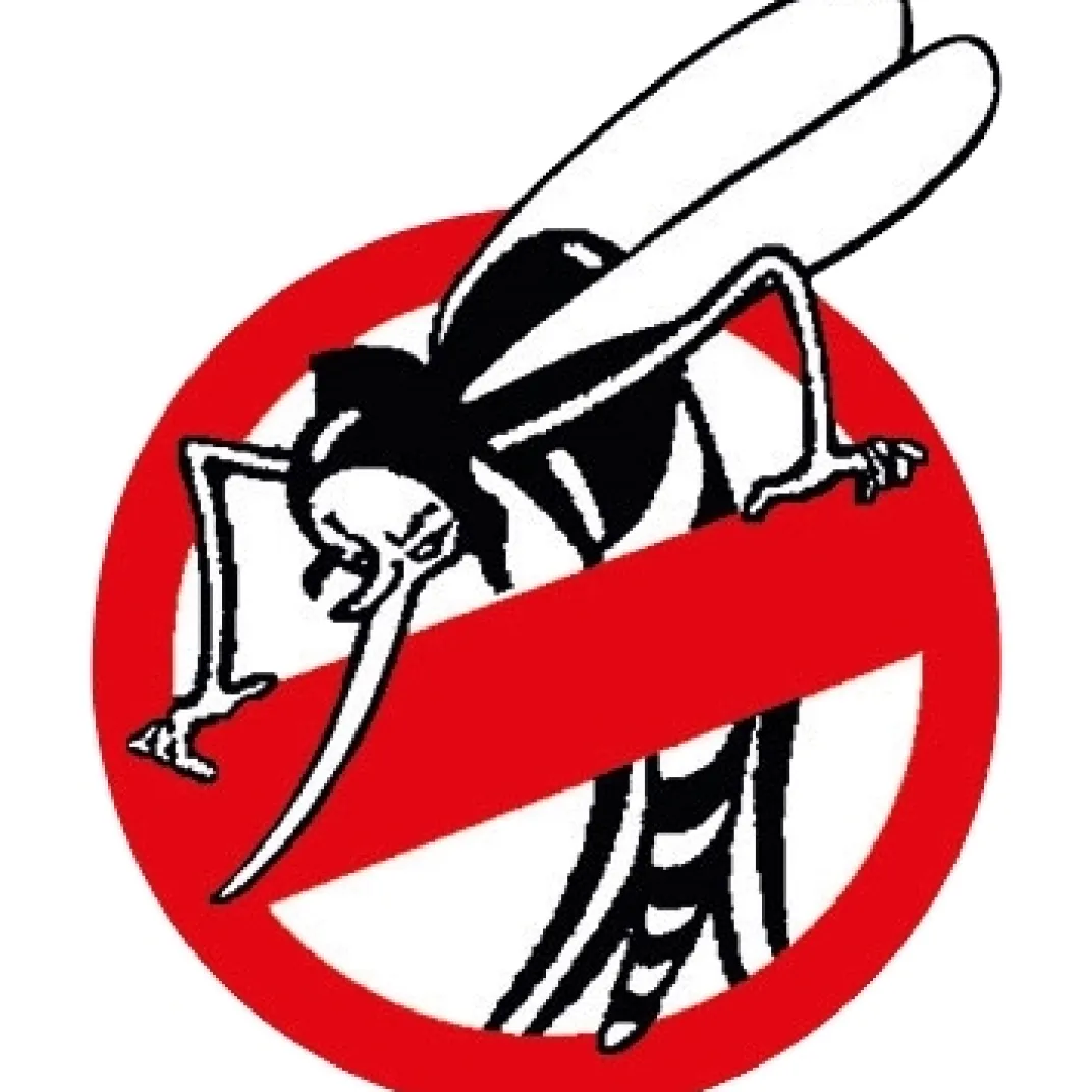 Anti-Nuisibles Et Anti-Insectes|Tempsl Lot de 20 bandes adhésives attrape mouches