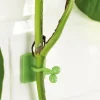 Accessoires Et Outils Jardin|Tempsl Lot de 50 guides de croissance