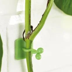 Accessoires Et Outils Jardin|Tempsl Lot de 50 guides de croissance