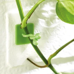 Accessoires Et Outils Jardin|Tempsl Lot de 50 guides de croissance