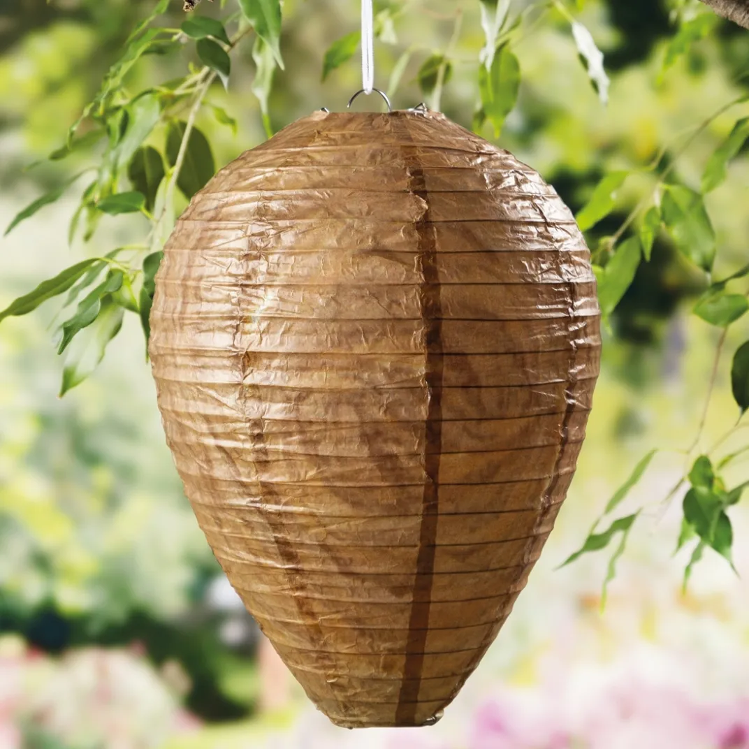 Anti-Nuisibles Et Anti-Insectes|Tempsl Lot de 2 leurres à guêpes
