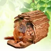 Accessoires Animaux|Tempsl Mangeoire écureuil