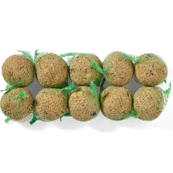 Accessoires Animaux|Tempsl Mangeoire pour oiseaux + 1kg de graines + 10 boules de graisse