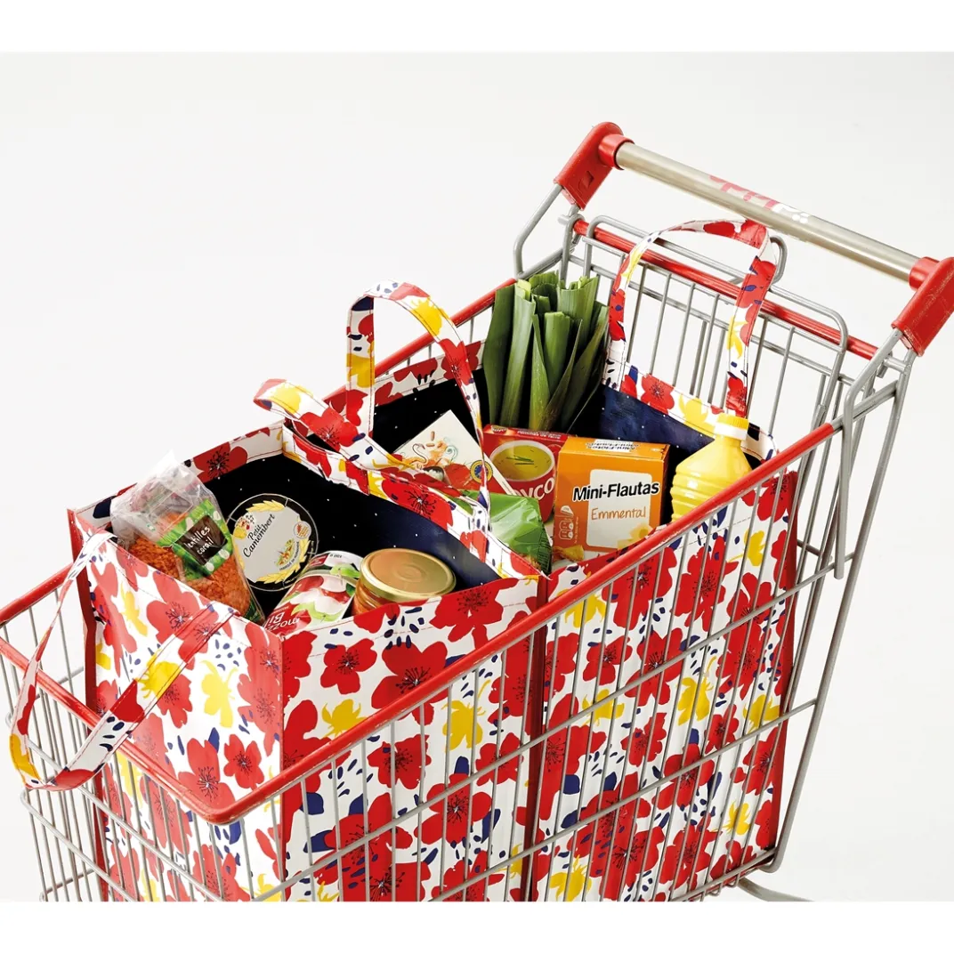 Organisation Et Entretien|Tempsl 2 maxi sacs fleuris