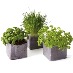 Ustensiles De Cuisine Malins|Tempsl Mon mini potager