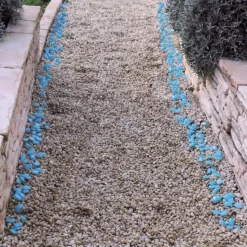 Décorations Jardin Et Extérieur|Tempsl 100 pierres phosphorescentes : «vertes» ou «bleues»