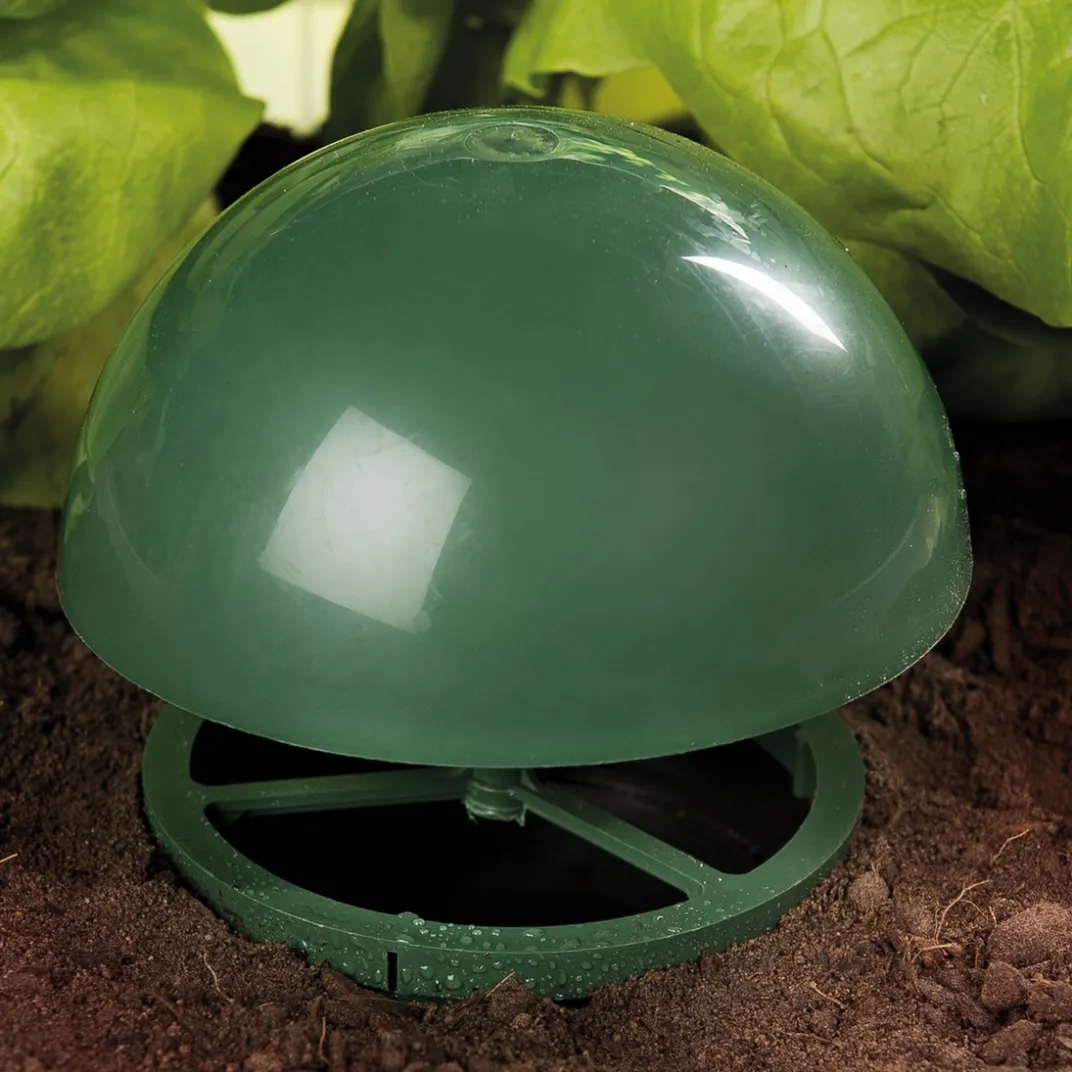 Accessoires Et Outils Jardin|Anti-Nuisibles Et Anti-Insectes|Tempsl Piège à limaces et escargots