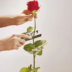 Accessoires Et Outils Jardin|Tempsl Pince retire épines