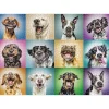 Loisirs Créatifs|Tempsl Puzzle 1000 pièces Portraits amusants chiens