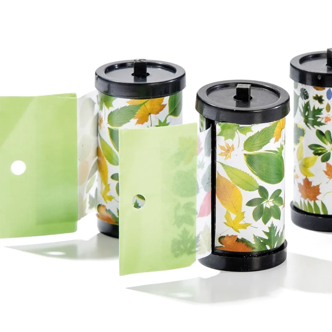 Anti-Nuisibles Et Anti-Insectes|Tempsl 4 rouleaux attrape mouches feuilles