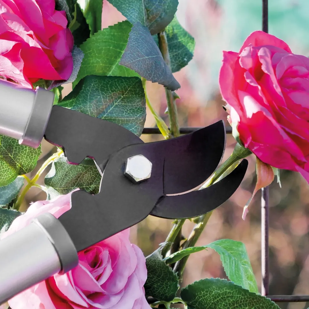 Accessoires Et Outils Jardin|Tempsl Sécateur