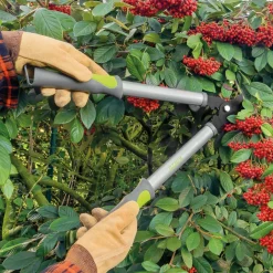Accessoires Et Outils Jardin|Tempsl Sécateur
