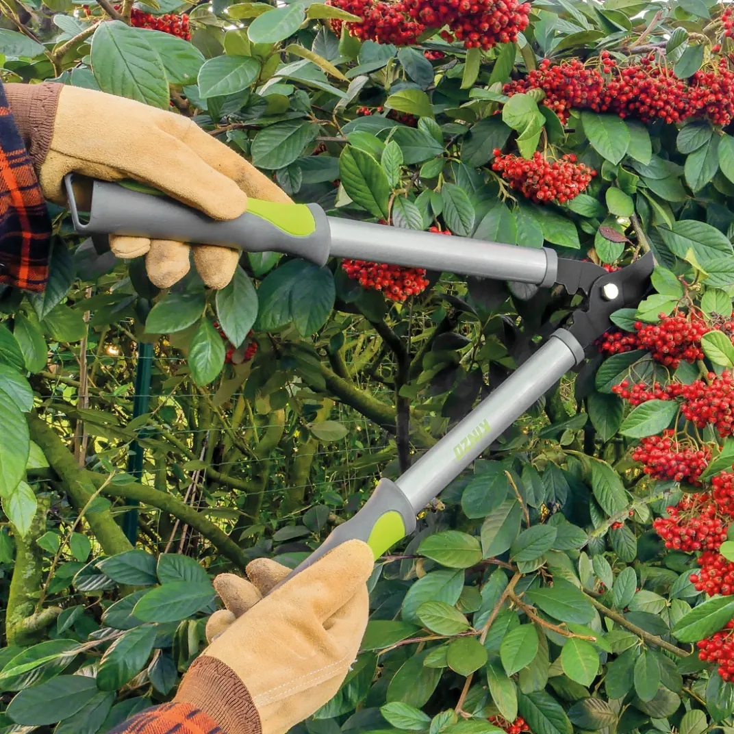 Accessoires Et Outils Jardin|Tempsl Sécateur
