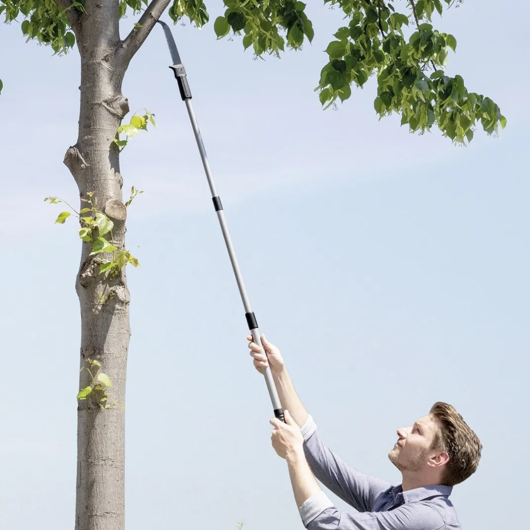 Accessoires Et Outils Jardin|Tempsl Scie à élaguer avec manche télescopique