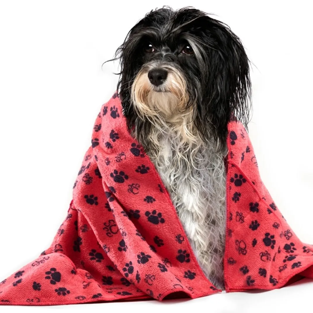 Accessoires Animaux|Tempsl Serviette microfibre : divers coloris
