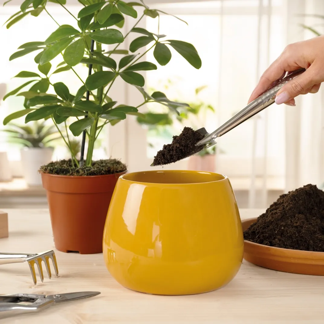 Accessoires Et Outils Jardin|Tempsl Set d'outils de jardin d'intérieur