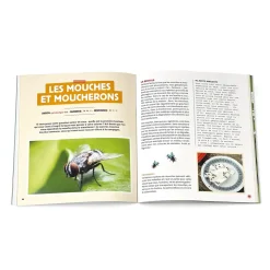 Anti-Nuisibles Et Anti-Insectes|Tempsl Stratégie anti-bestioles à la maison
