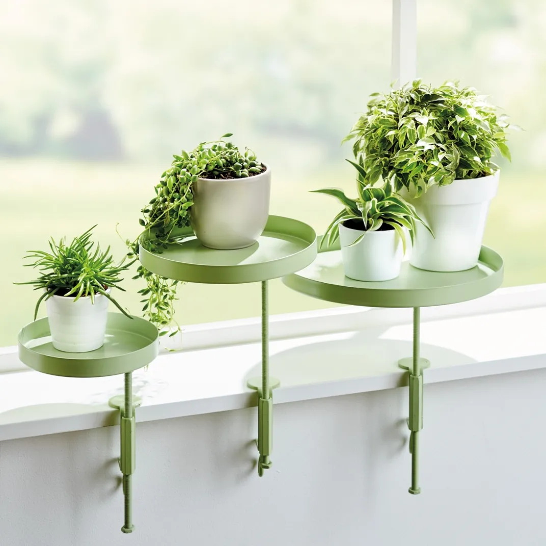 Décorations|Tempsl Support plantes : divers coloris
