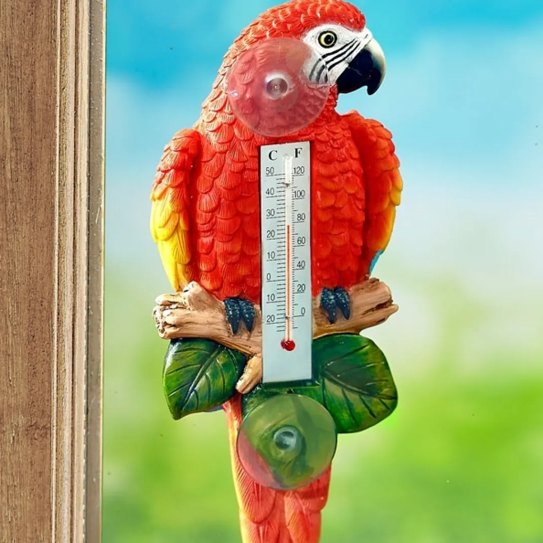 Décorations|Tempsl Thermomètre perroquet